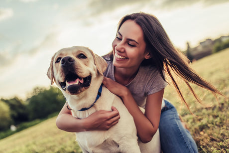 The "Wolf Secret" to a Healthier Dog