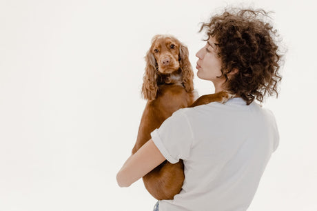 The Ultimate Pet Owner's Checklist