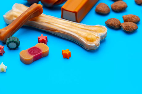 Why Duck Feet Are Becoming A Popular Treat for Dogs