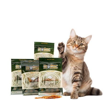 A Cat signaling for more treats from Pawlistic