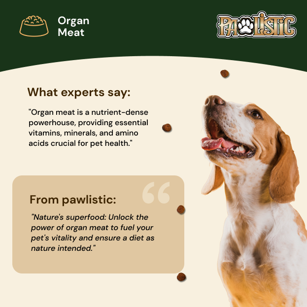 Image illustrating the benefits of organ meat in a dog's diet, featuring various organ meats like liver, heart, and kidney. The graphic highlights how organ meat provides essential nutrients, supports overall health, and promotes optimal digestion in dogs.