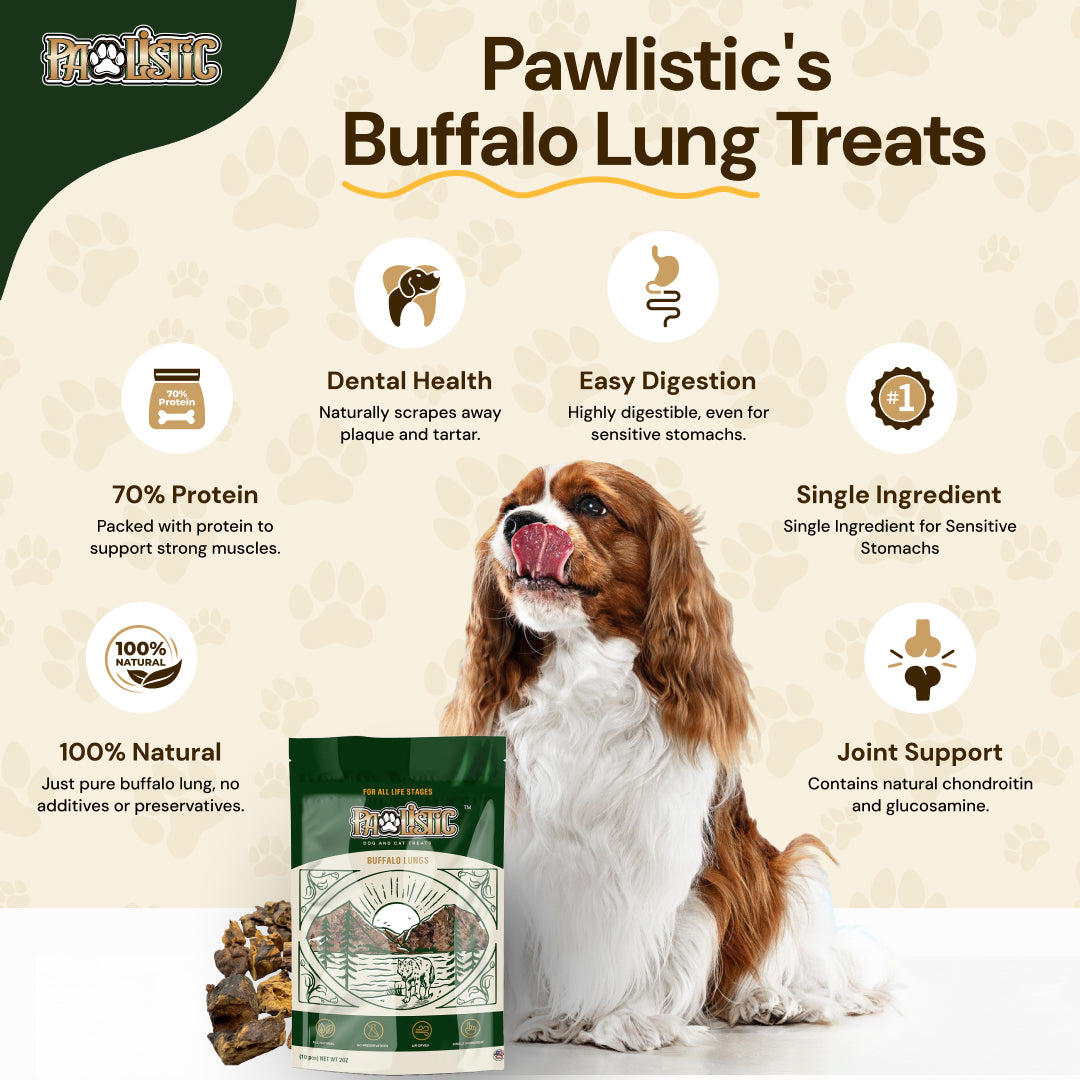 A infographic giving details about Pawlistic Buffalo Lung Treats 