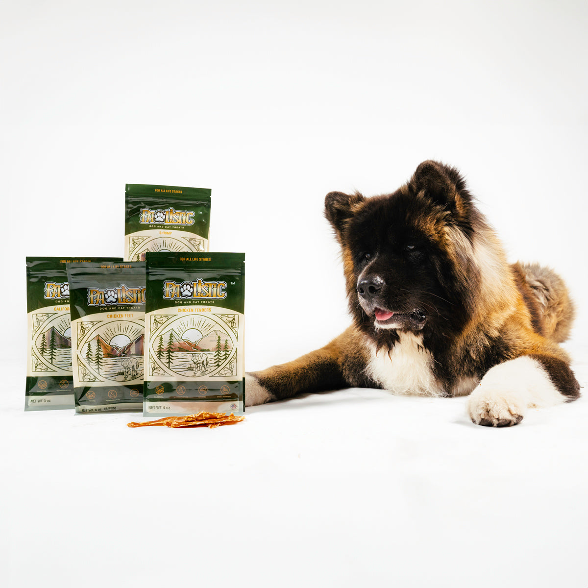 American Akita dog eagerly gazes at a pile of Pawlistic Treats, showcasing the delicious and nutritious pet treats. Enhance your furry friend's joy with Pawlistic's premium treats for a wholesome canine experience.