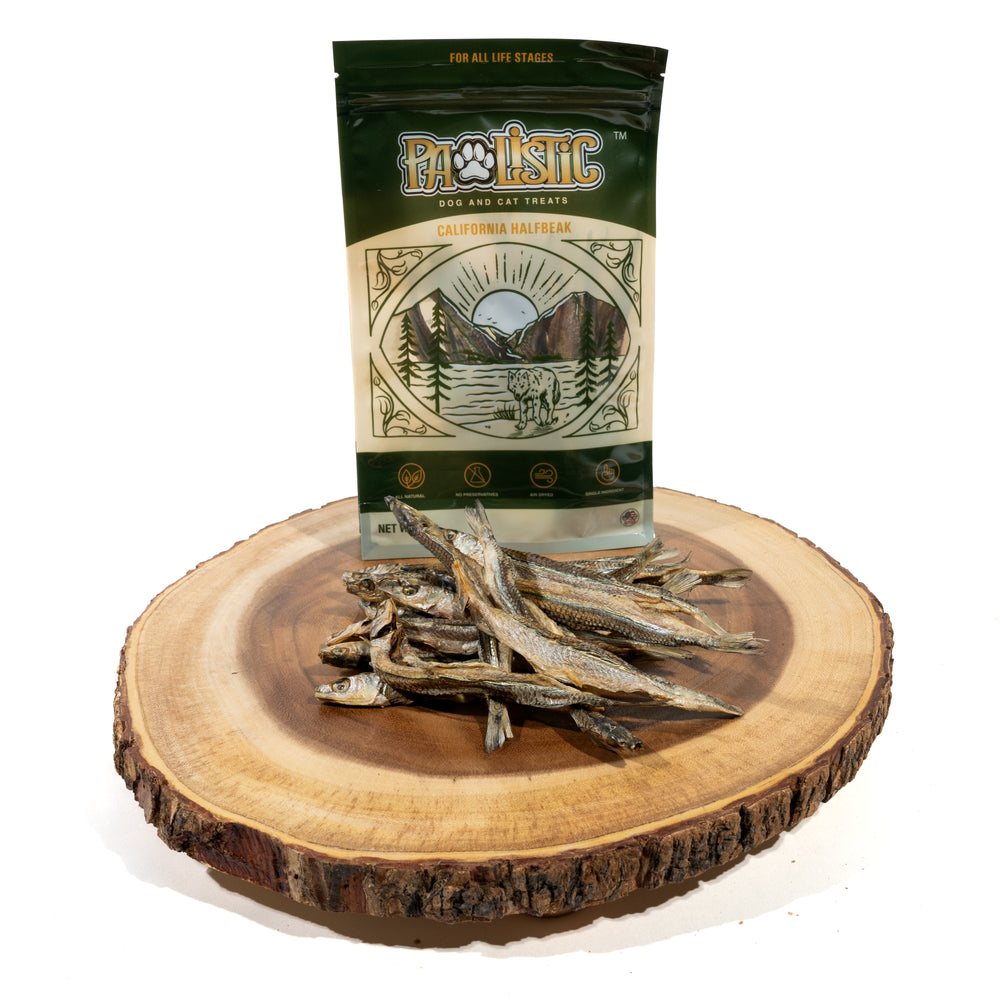 California Halfbeak fish treats for dogs and cats by Pawlistic Treats