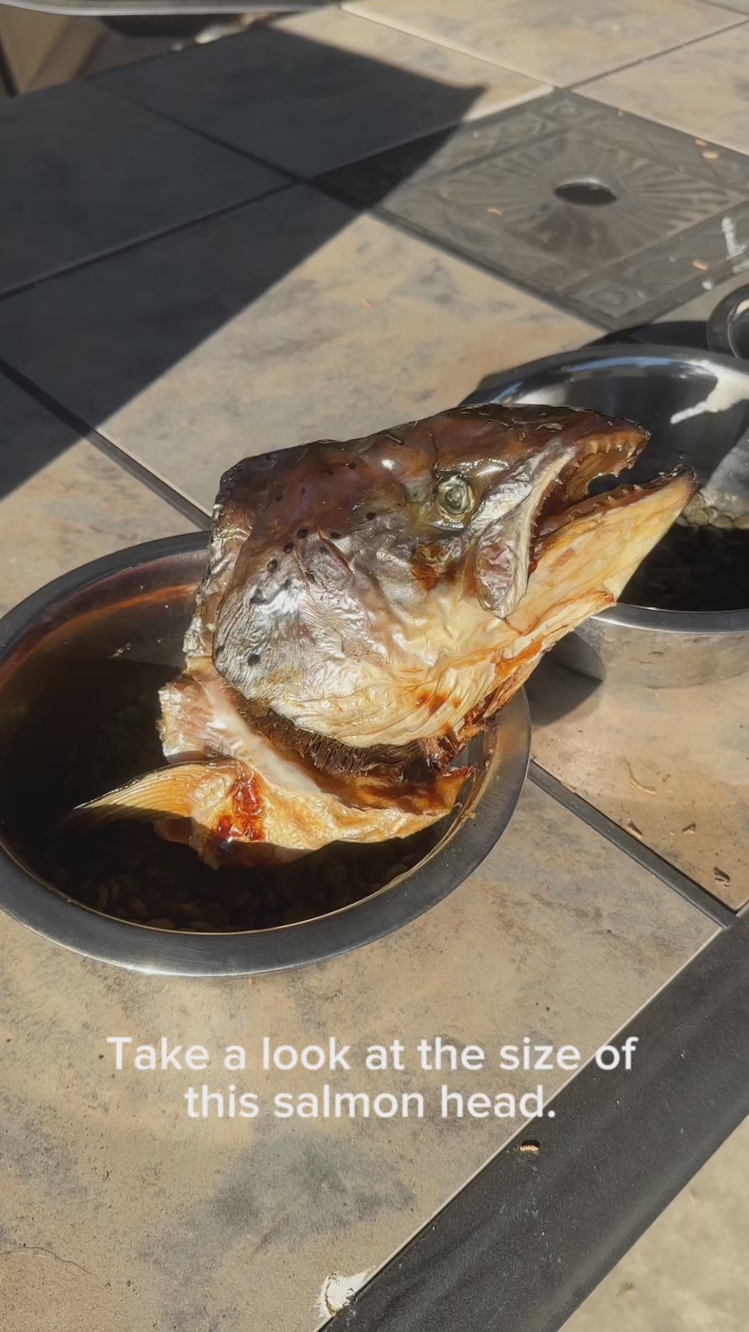 Pawlistic Salmon Head: The Ultimate Natural Superfood for Your Pet’s Health & Vitality!